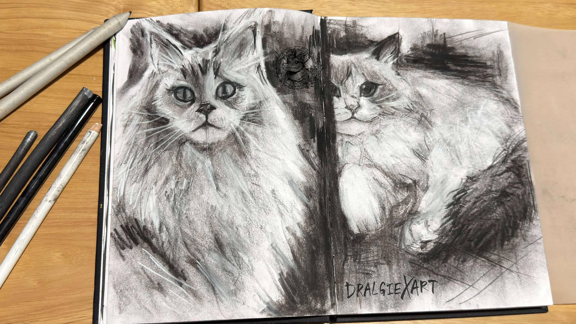 Charcoal Cat Sketches